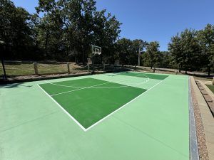 A green basketball court with a basketball hoop and trees in the background.