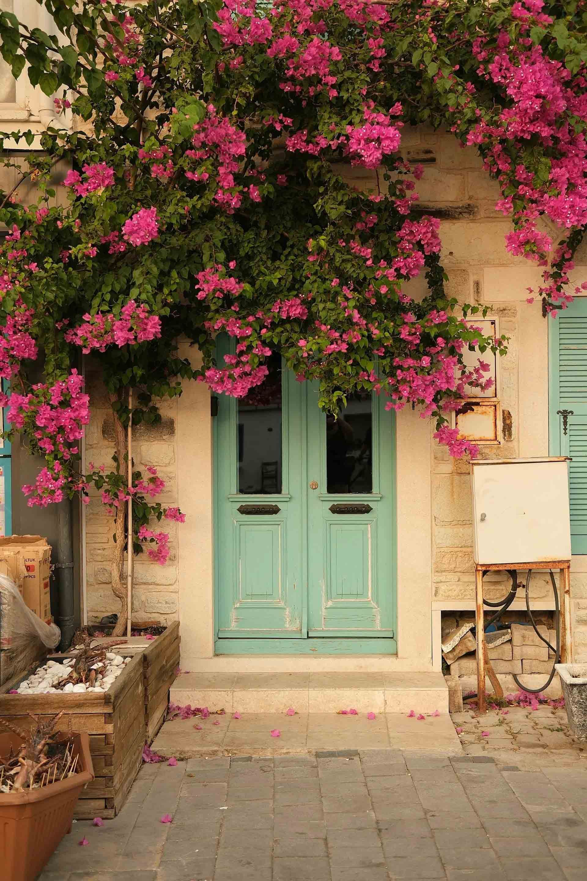 Mint-green double doors beneath pink bougainvillea on a stone patio