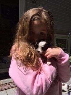 girl with Papillon puppy