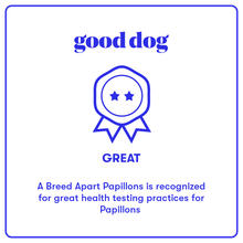 good dog badge