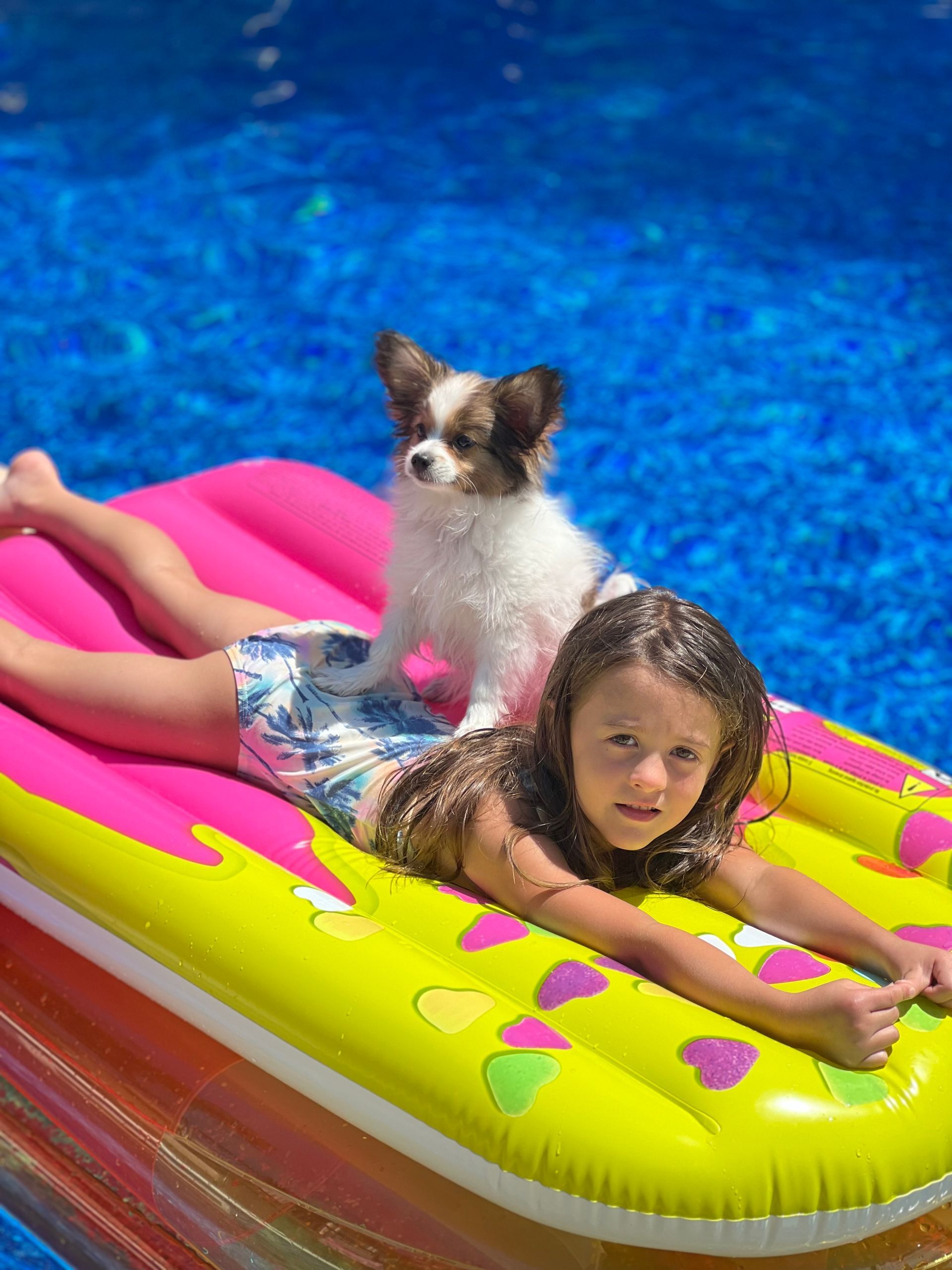 Girl and small dog on a colorful inflatable in a swimming pool.