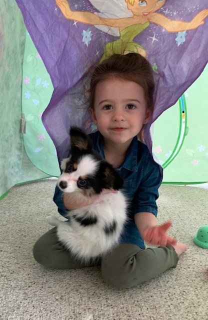 A young girl with brown hair smiles while holding a black and white puppy in a play tent; both are on a light-colored rug.