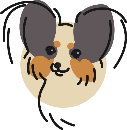 A Breed Apart Papillons Puppies A Breed Apart Papillons Puppies