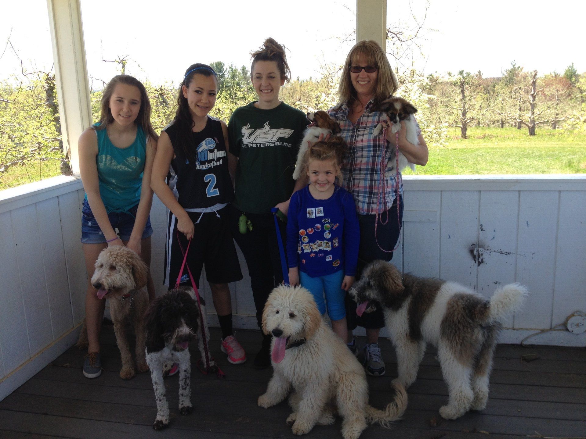 dog excellence group