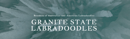 Granite State Labradoodles Logo