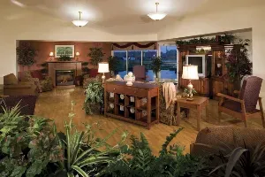 A living room with lots of furniture and plants