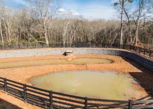 Retention Pond Maintenance — High Point, NC — Piedmont Site Works