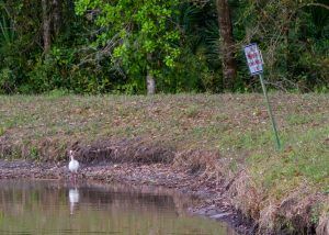 Man Made Retention Pond — High Point, NC — Piedmont Site Works