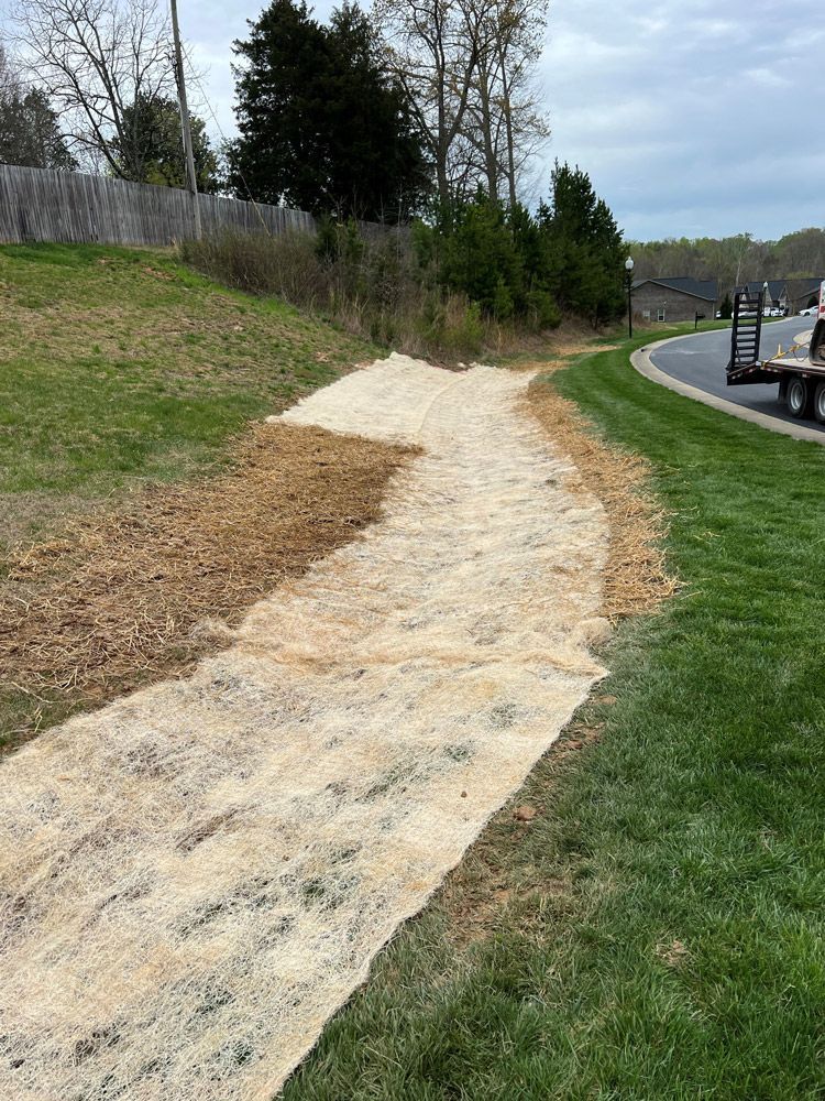 After Yard Drainage - High Point, NC - Piedmont Site Works