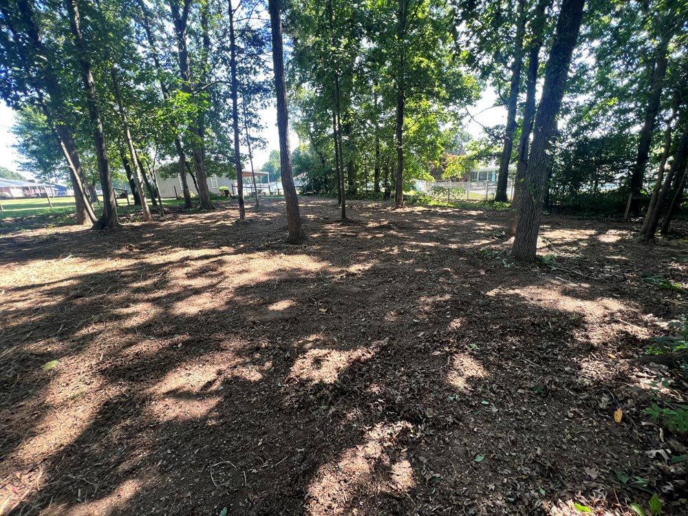 After Forestry Mulching - High Point, NC - Piedmont Site Works