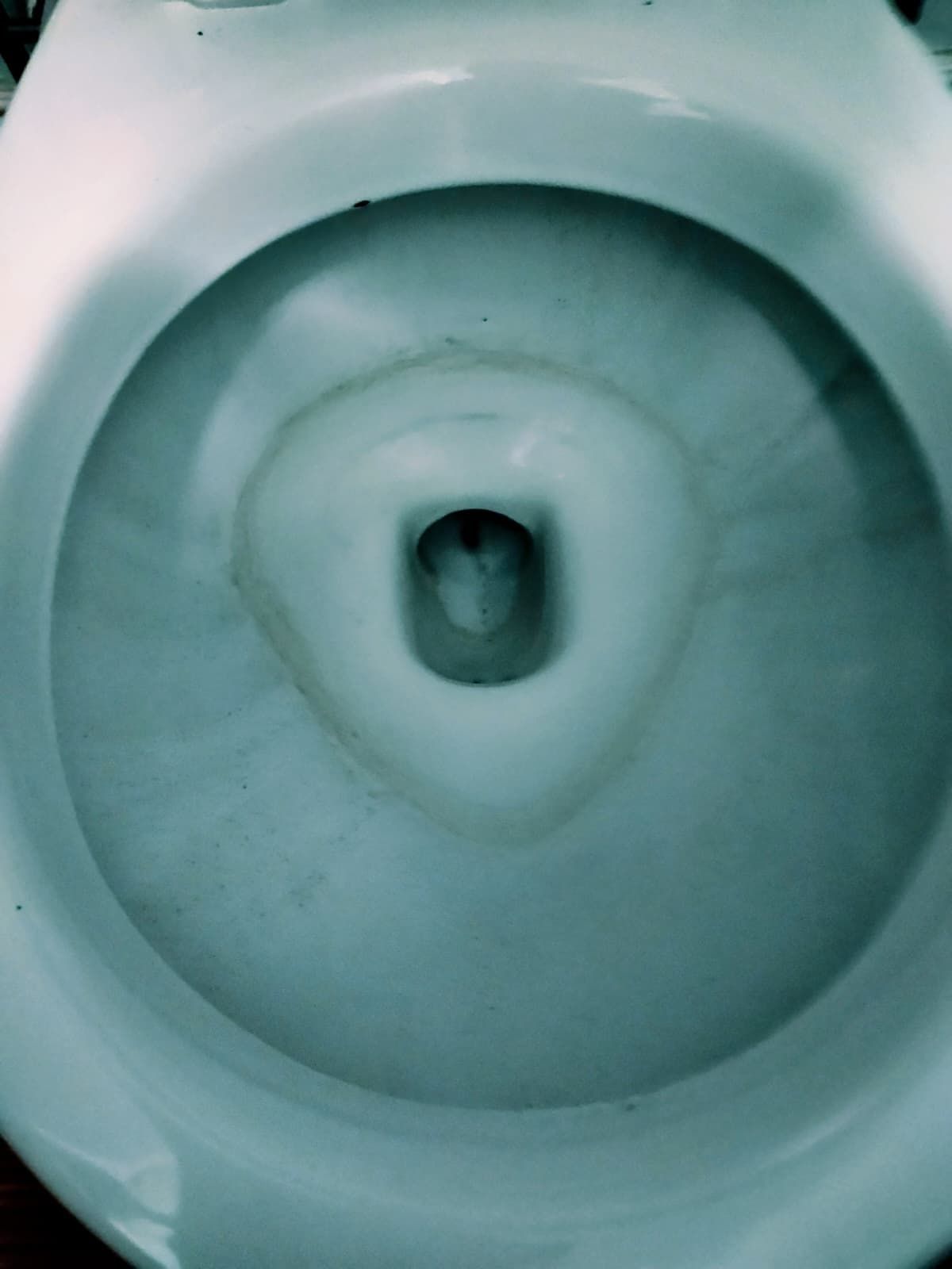 Top-down view of a toilet bowl with blue-tinted water and a dark object in the center