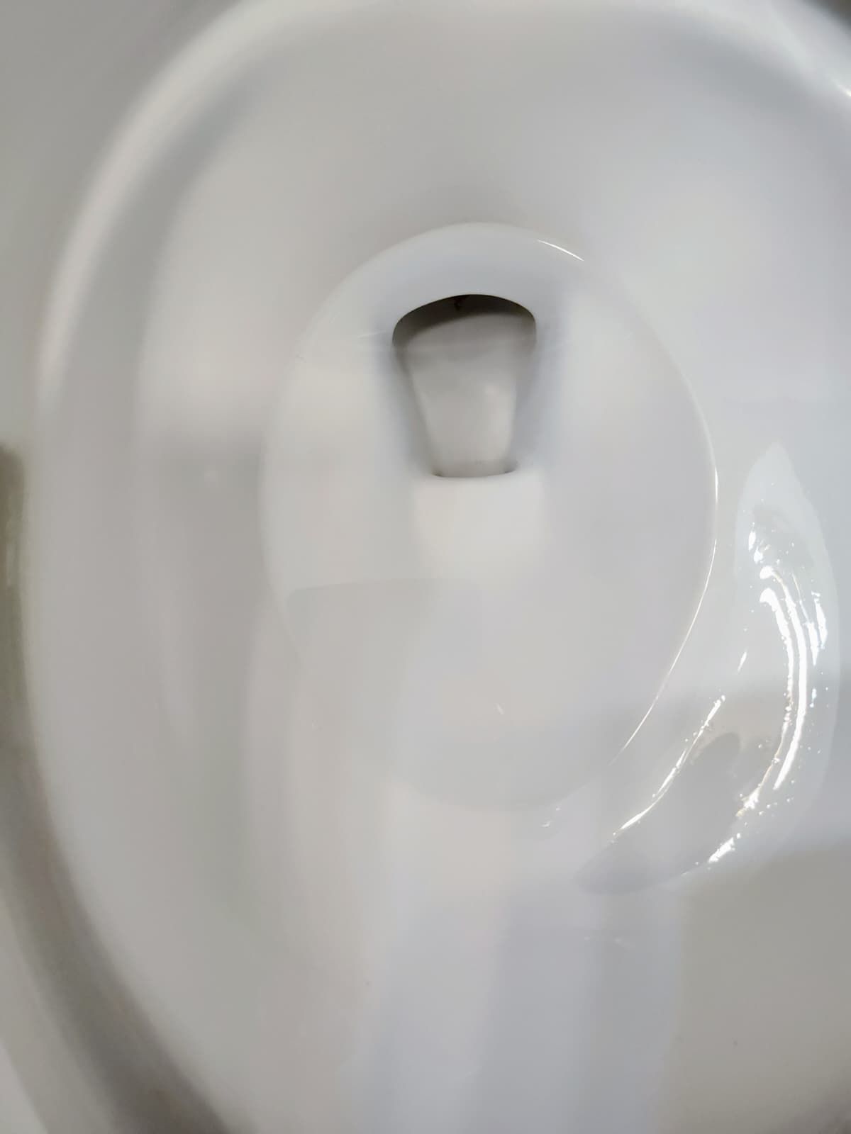 Close-up of a white ceramic toilet bowl with the drain opening visible.