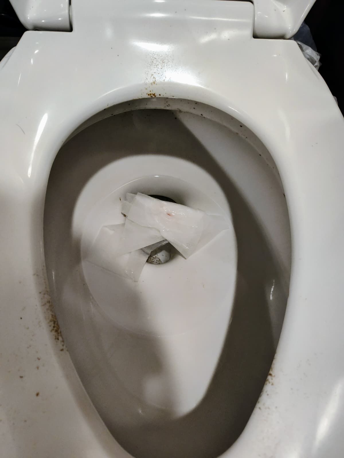 Toilet bowl with crumpled toilet paper in the water and seat up