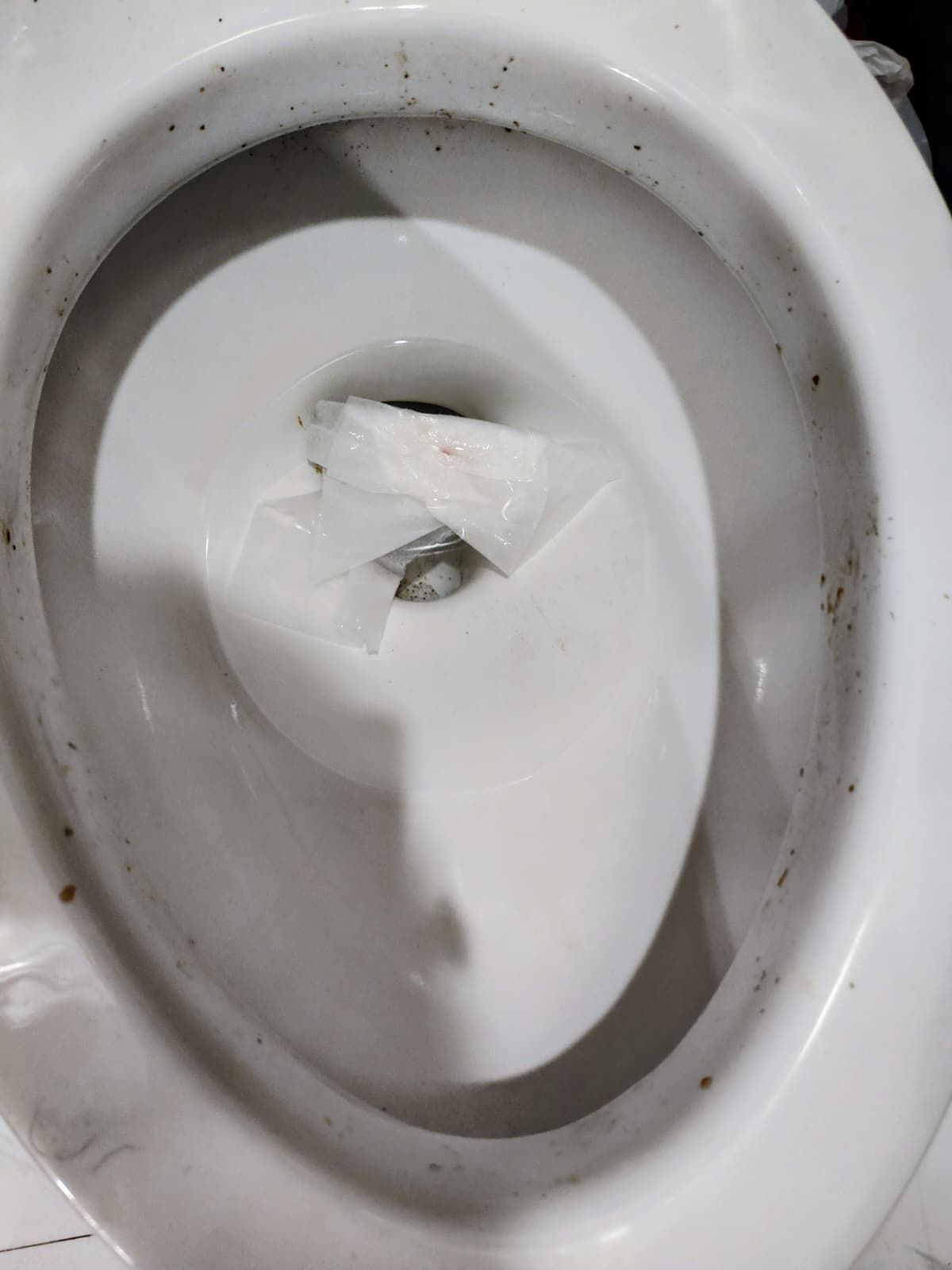 White ceramic toilet bowl with a wad of tissue paper stuck in the drain hole