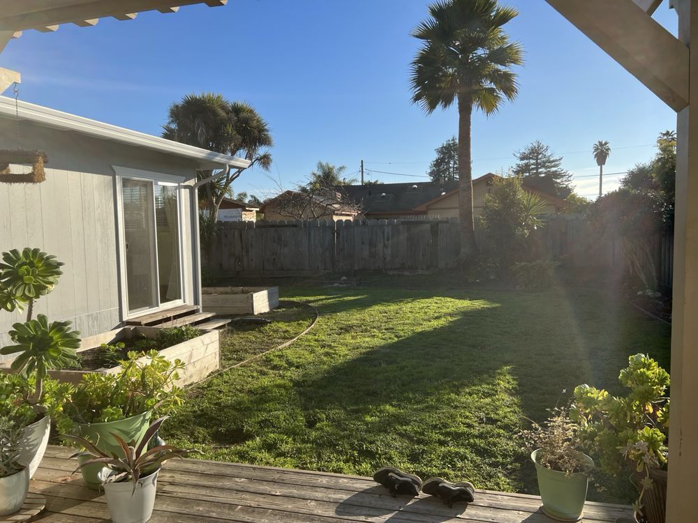 Backyard with green grass, plants, wooden fence, and a sunny sky.