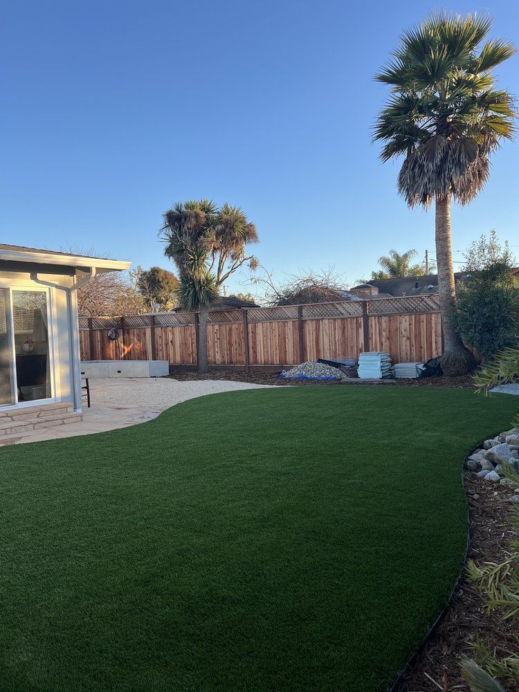 Backyard with green turf lawn, wooden fence, palm tree, and clear blue sky.