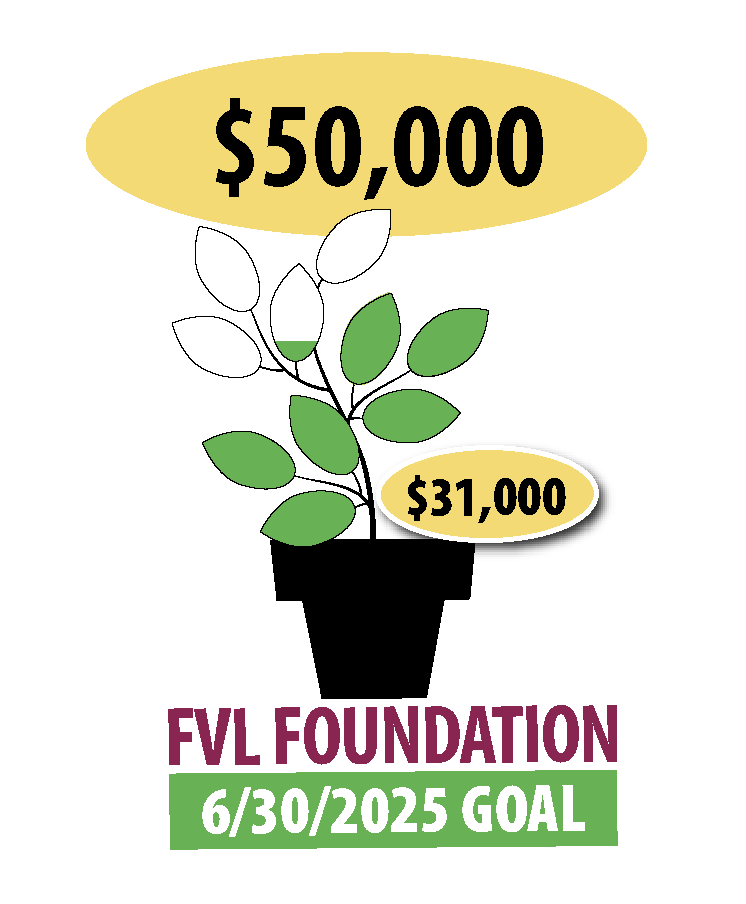 Financial Thermometer for Foundation - $31,000 of $50,000 goal reached