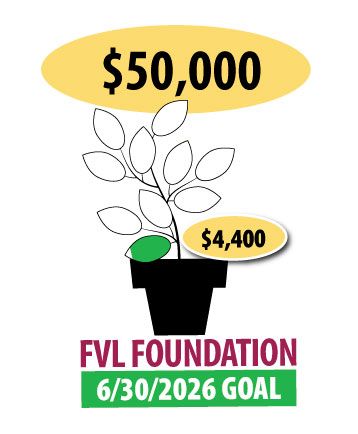 Financial Thermometer for Foundation - $31,000 of $50,000 goal reached