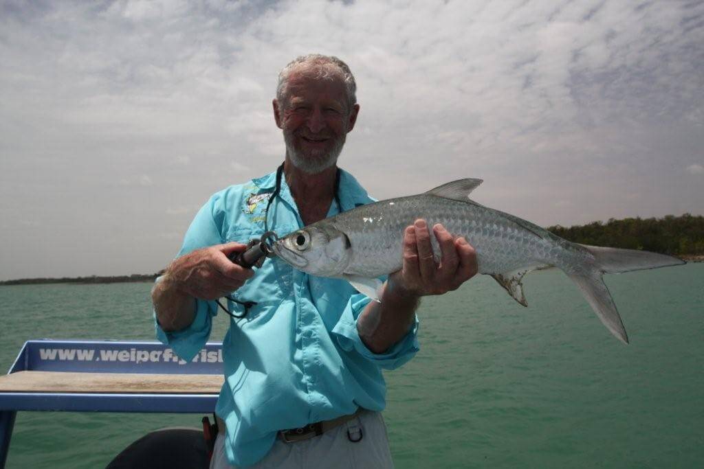 Catch Tarpon with Fish's Fly and Sportfishing - Weipa