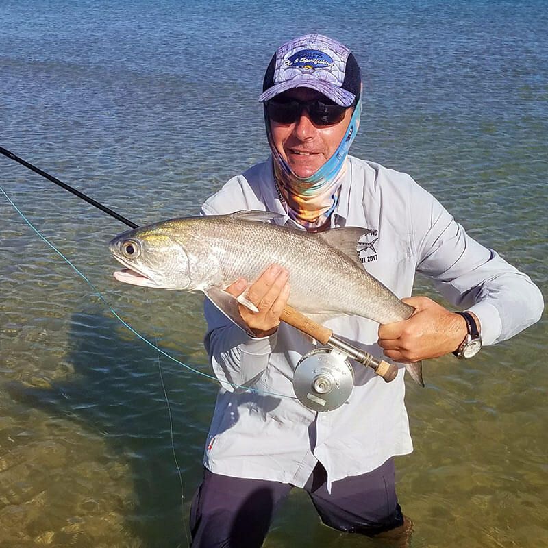 Catch Blue Salmon with Fish's Fly and Sportfishing - Weipa
