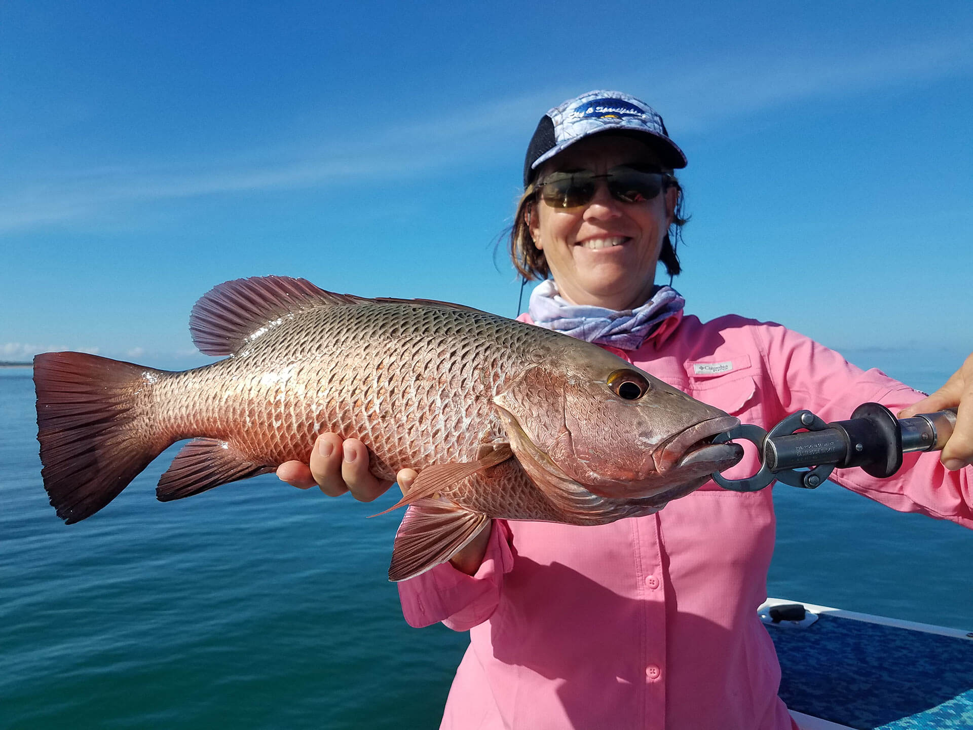 Catch a Mangrove Jack in Weipa with Fish's Fly and Sportfishing