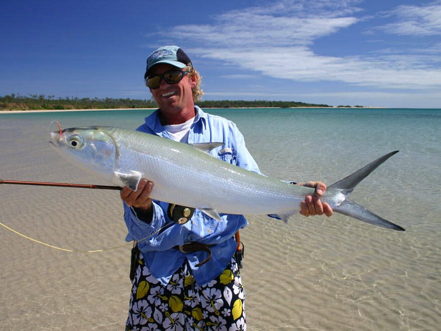 Catch a Milkfish in Weipa with Fish's Fly and Sportfishing