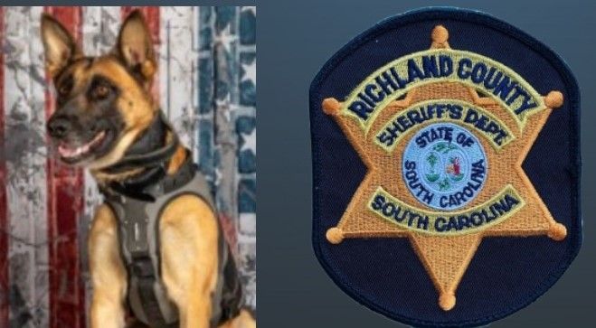 A dog is sitting next to a patch for richland county sheriff 's deputy.
