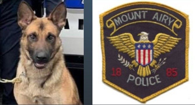 A dog next to a patch that says mount airy police