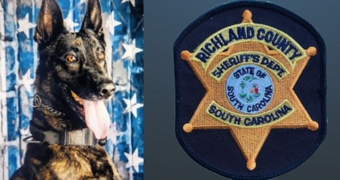 A dog is standing next to a south carolina sheriff 's badge.