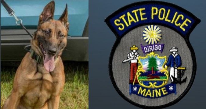 A picture of a dog next to a state police maine patch