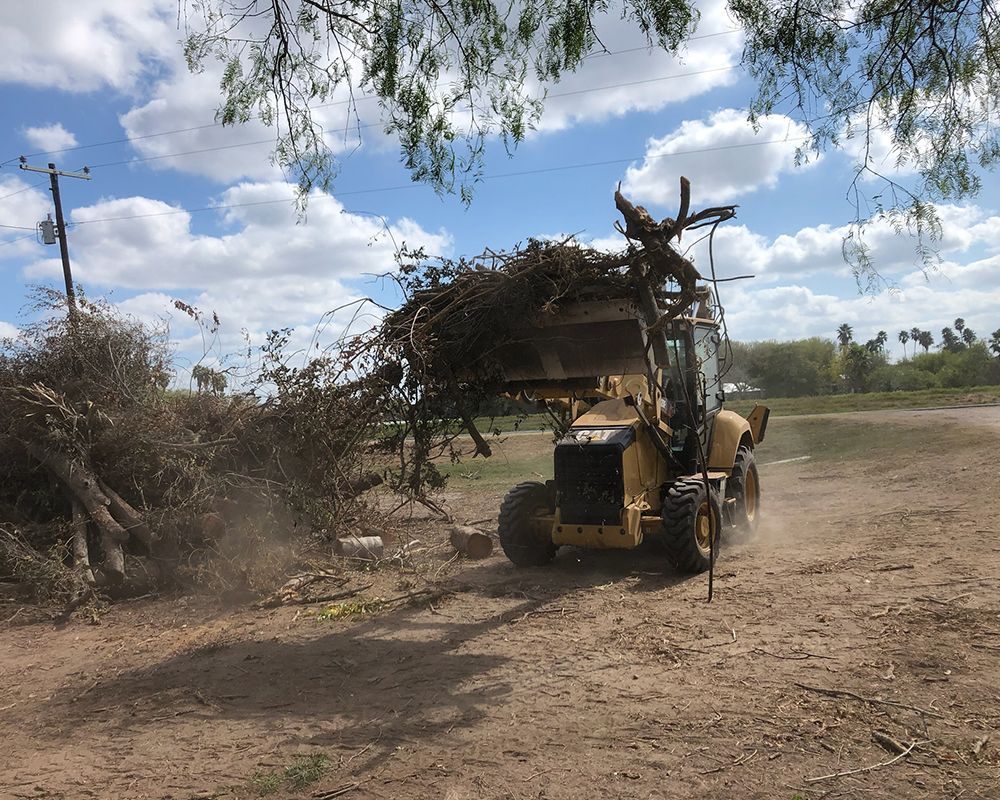 Moving Broken Tree Branch — Harlingen, TX — Abundiz Tractor Services