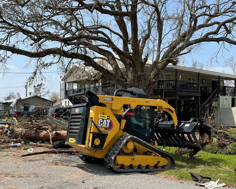 Removing Trees — Harlingen, TX — Abundiz Tractor Services