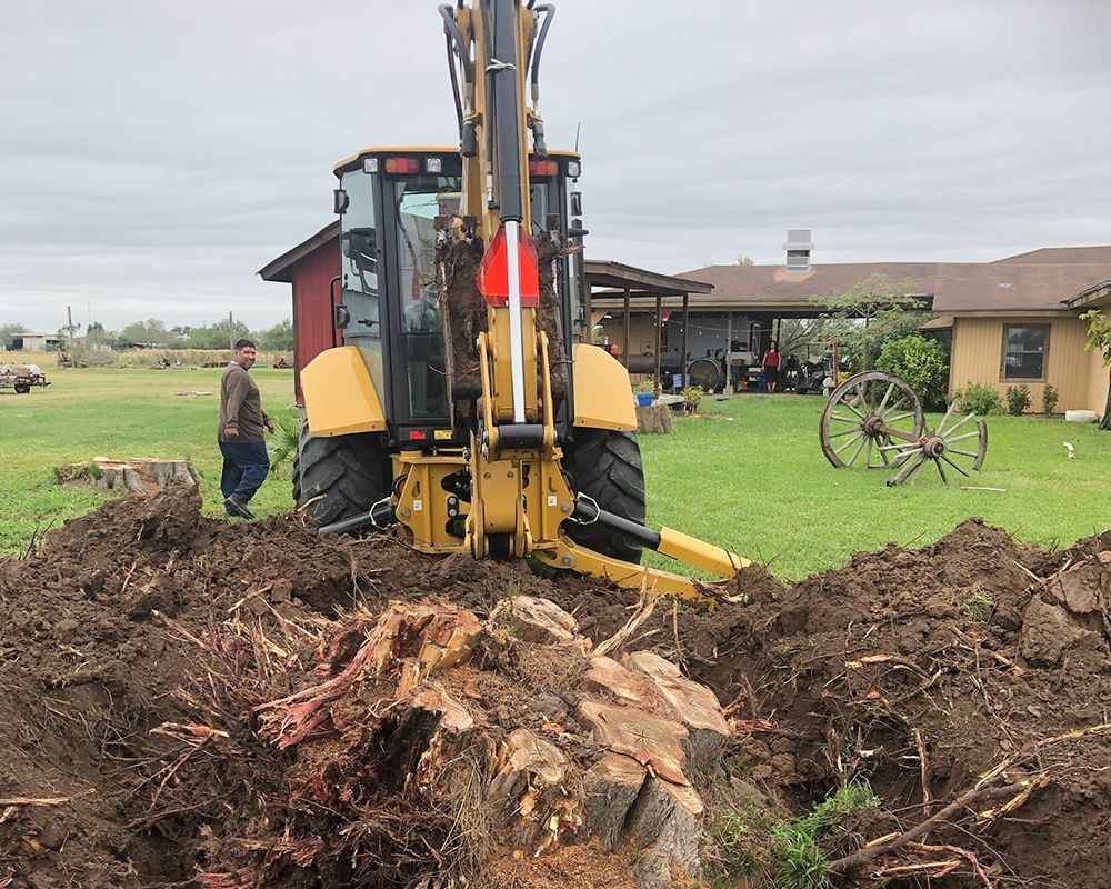 Removing Tree Stump — Harlingen, TX — Abundiz Tractor Services