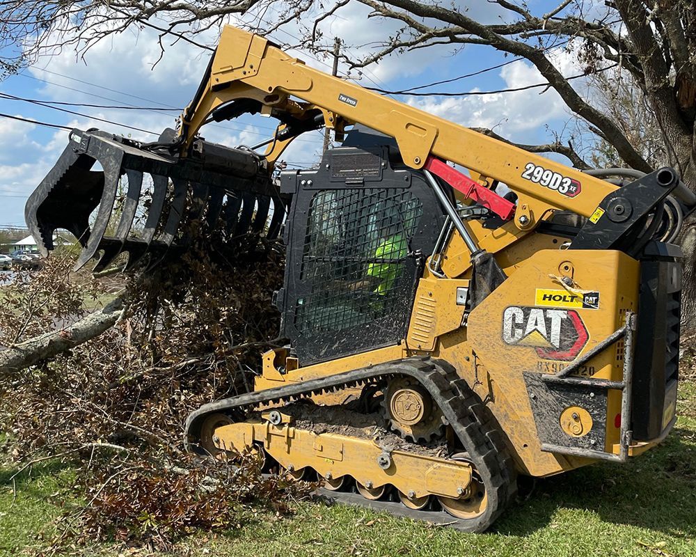 Skid Steer Removing Tree — Harlingen, TX — Abundiz Tractor Services