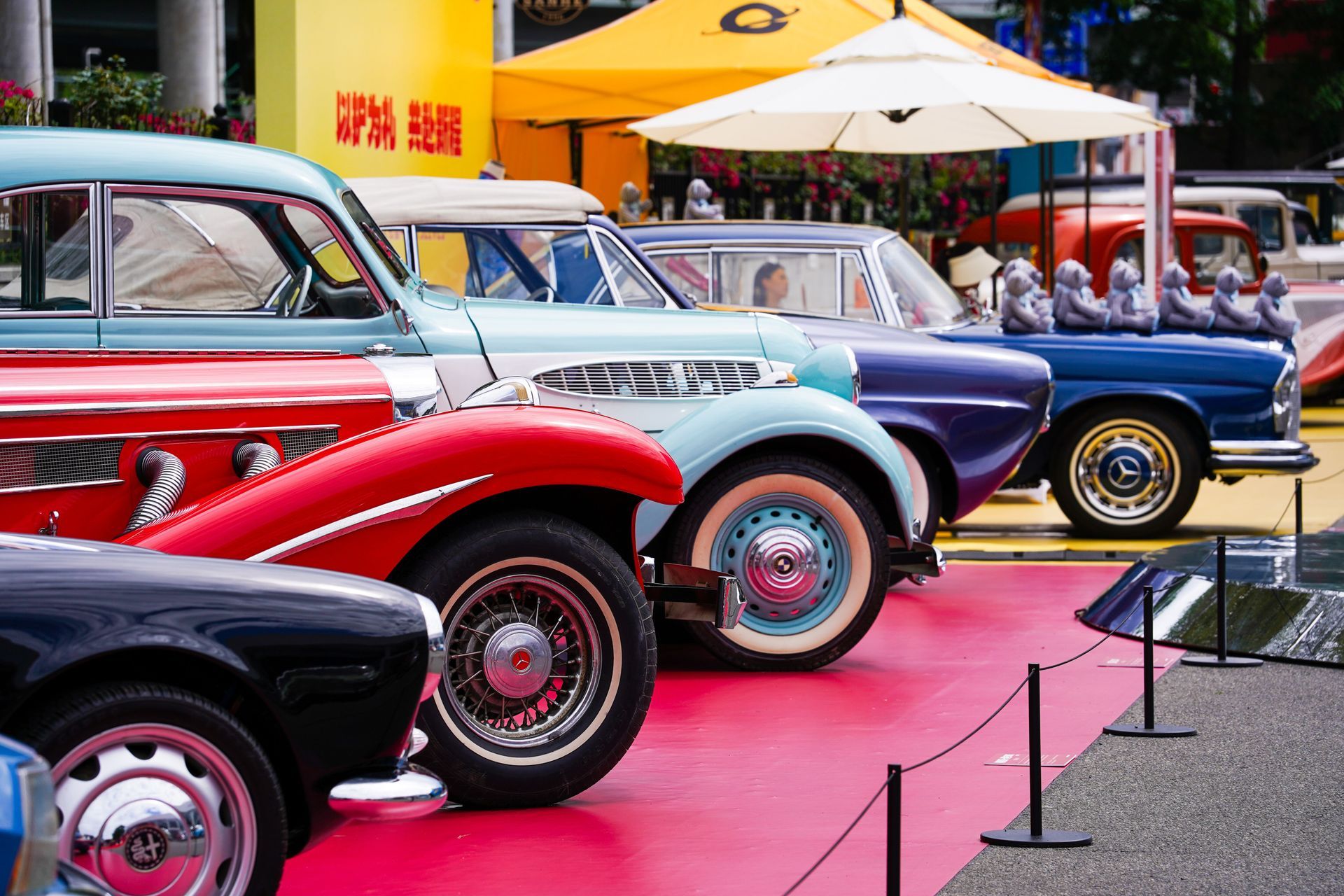 Classic vintage cars lined up on a red carpet display at an outdoor show.