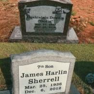 Two granite headstones in a grassy area. The top reads Doshialain Dowdle 