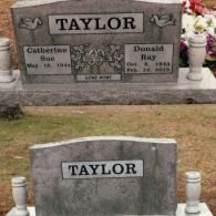 Two gray granite cemetery headstones inscribed with the name TAYLOR, positioned in a grassy outdoor setting.