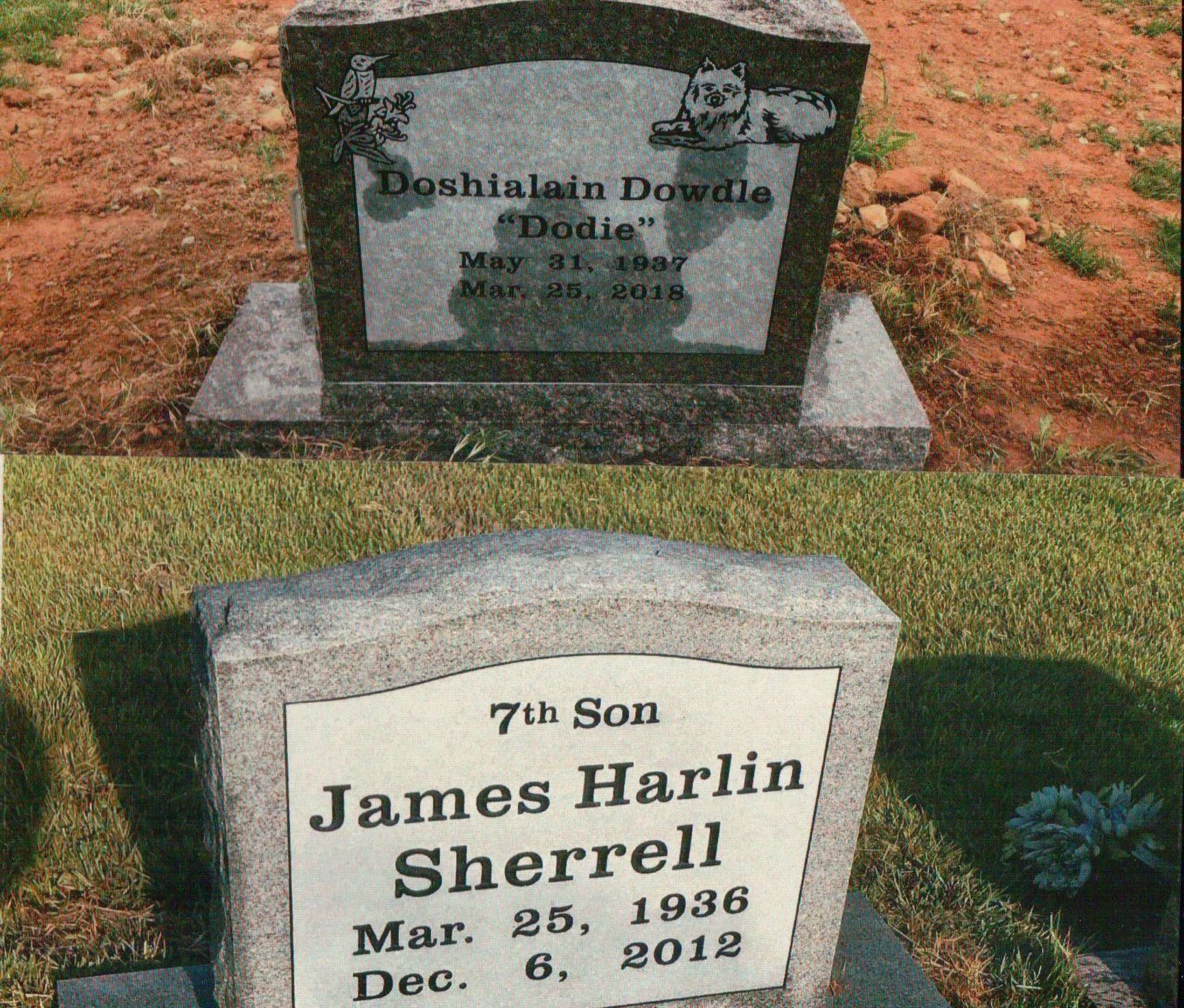 Two granite headstones, one featuring a small cat engraving, set in outdoor cemetery grounds.