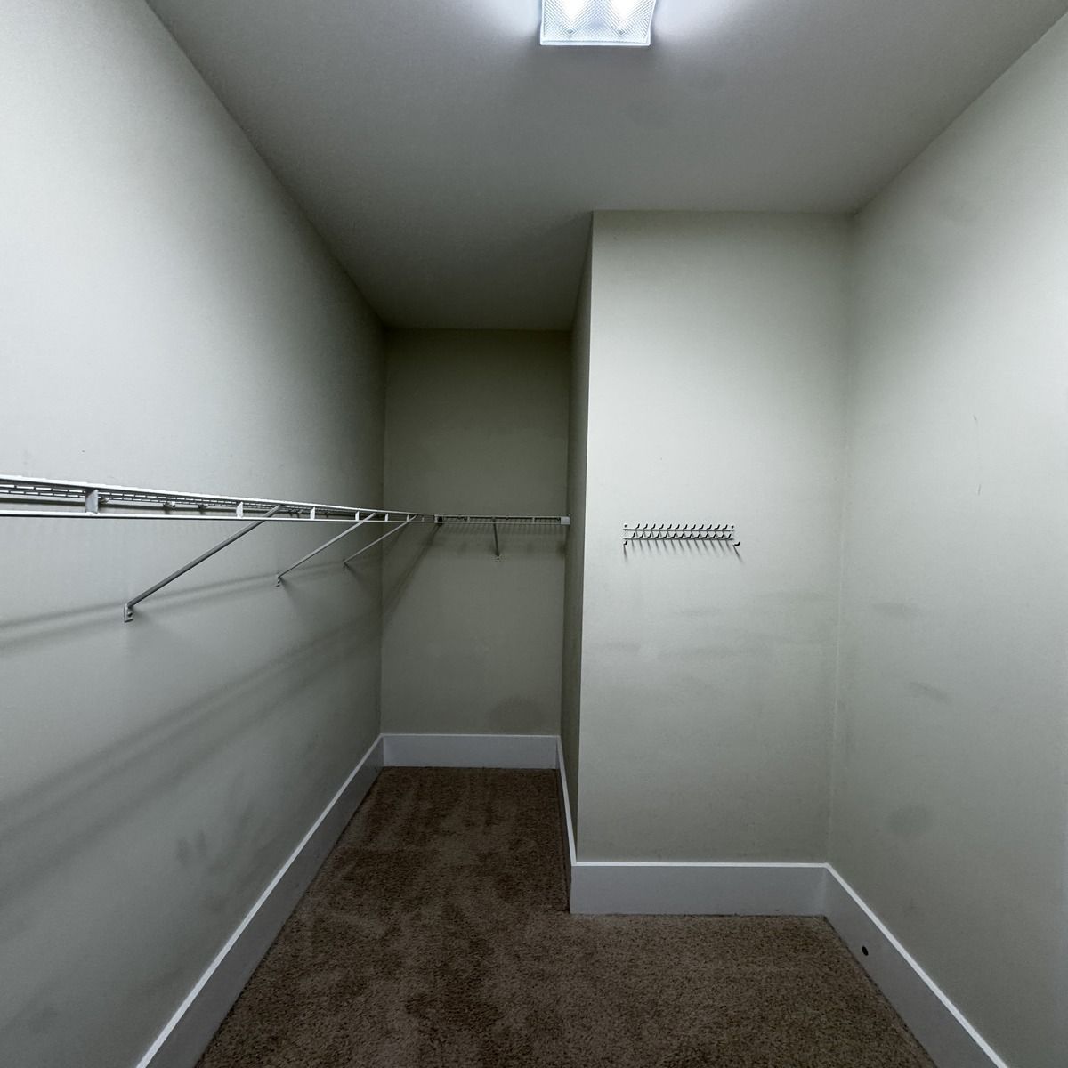 Empty walk-in closet with wire shelving and tan carpet. White walls and trim with a light fixture on the ceiling.