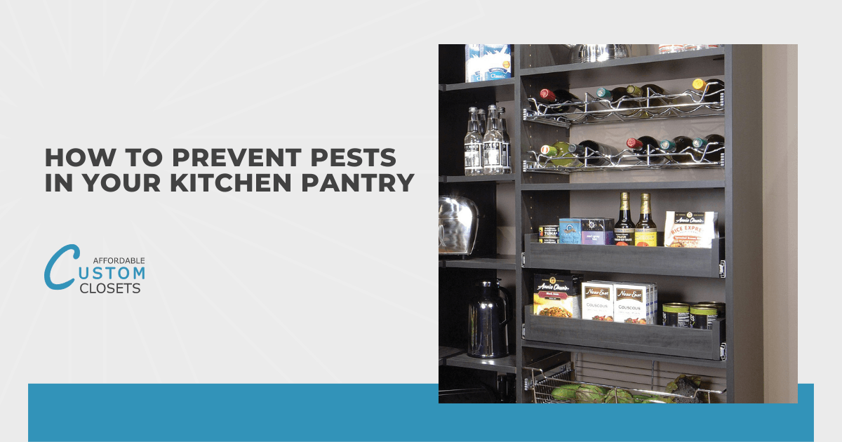 How To Prevent Pests in Your Kitchen Pantry