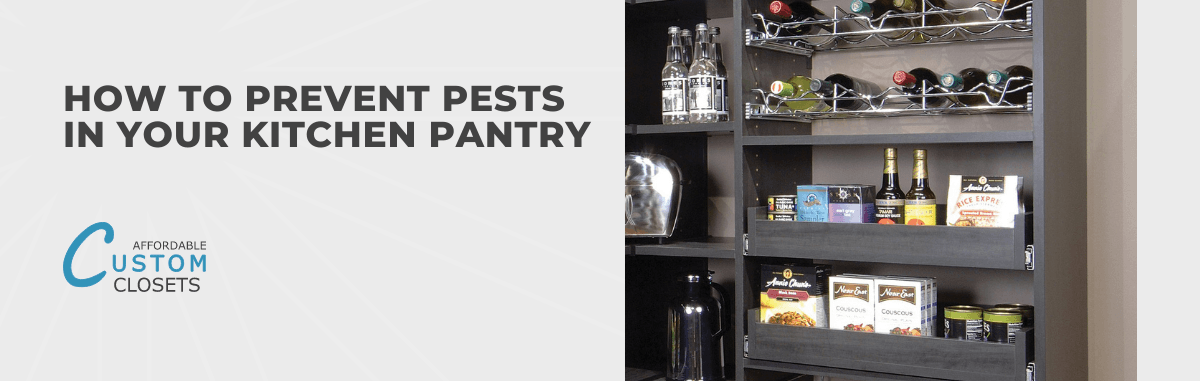 How To Prevent Pests in Your Kitchen Pantry