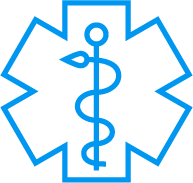 Healthcare Icon