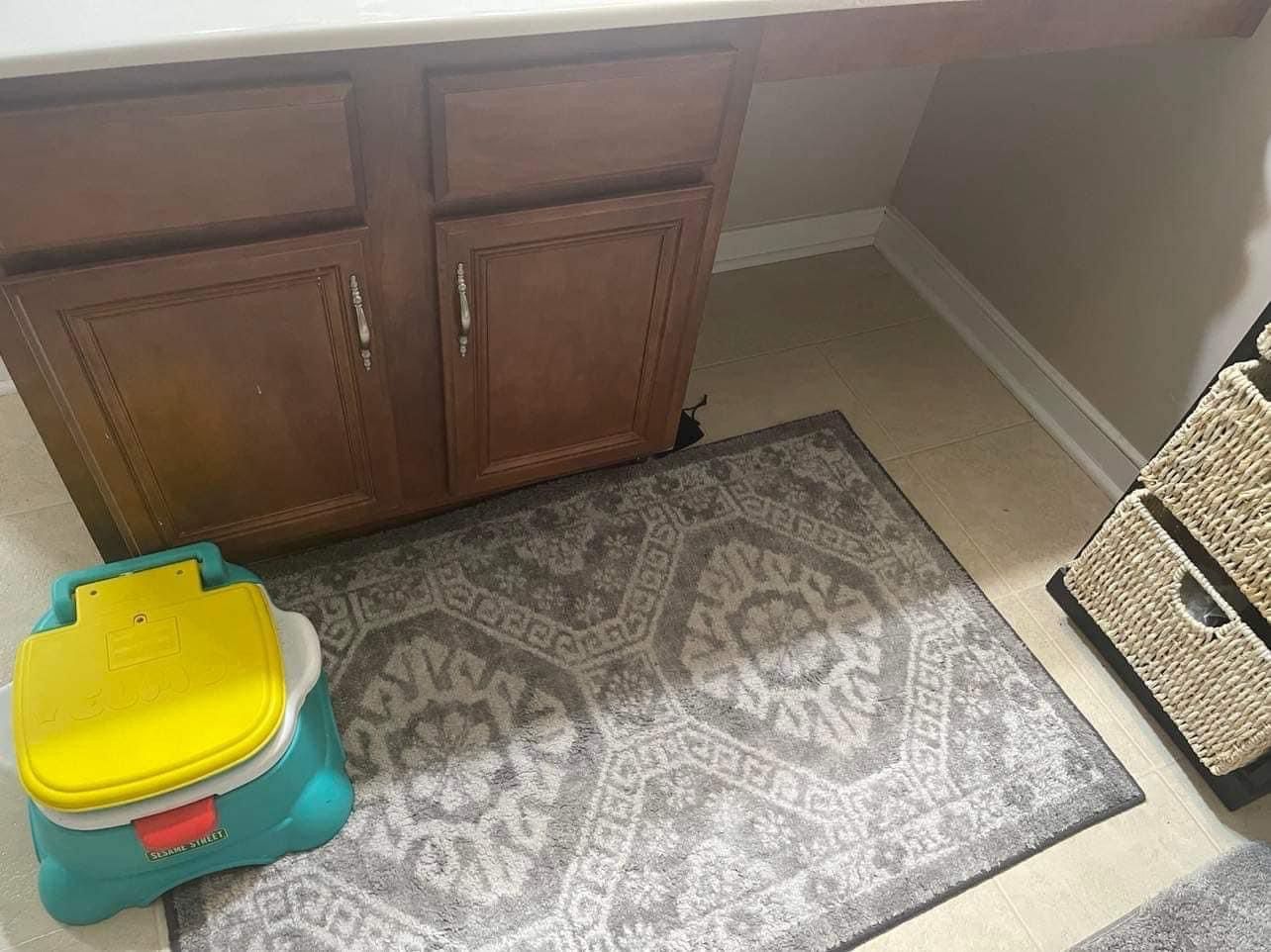 A bathroom with a potty and a rug on the floor.