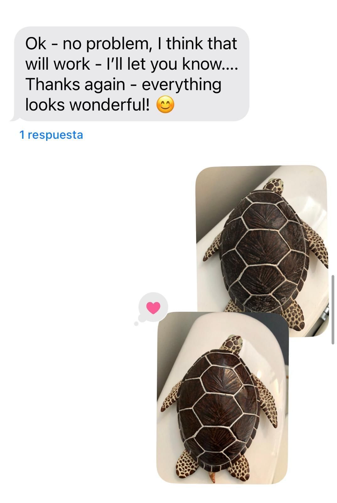 A text message with a picture of a sea turtle
