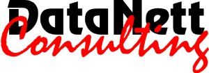 Data Nett Consulting - logo