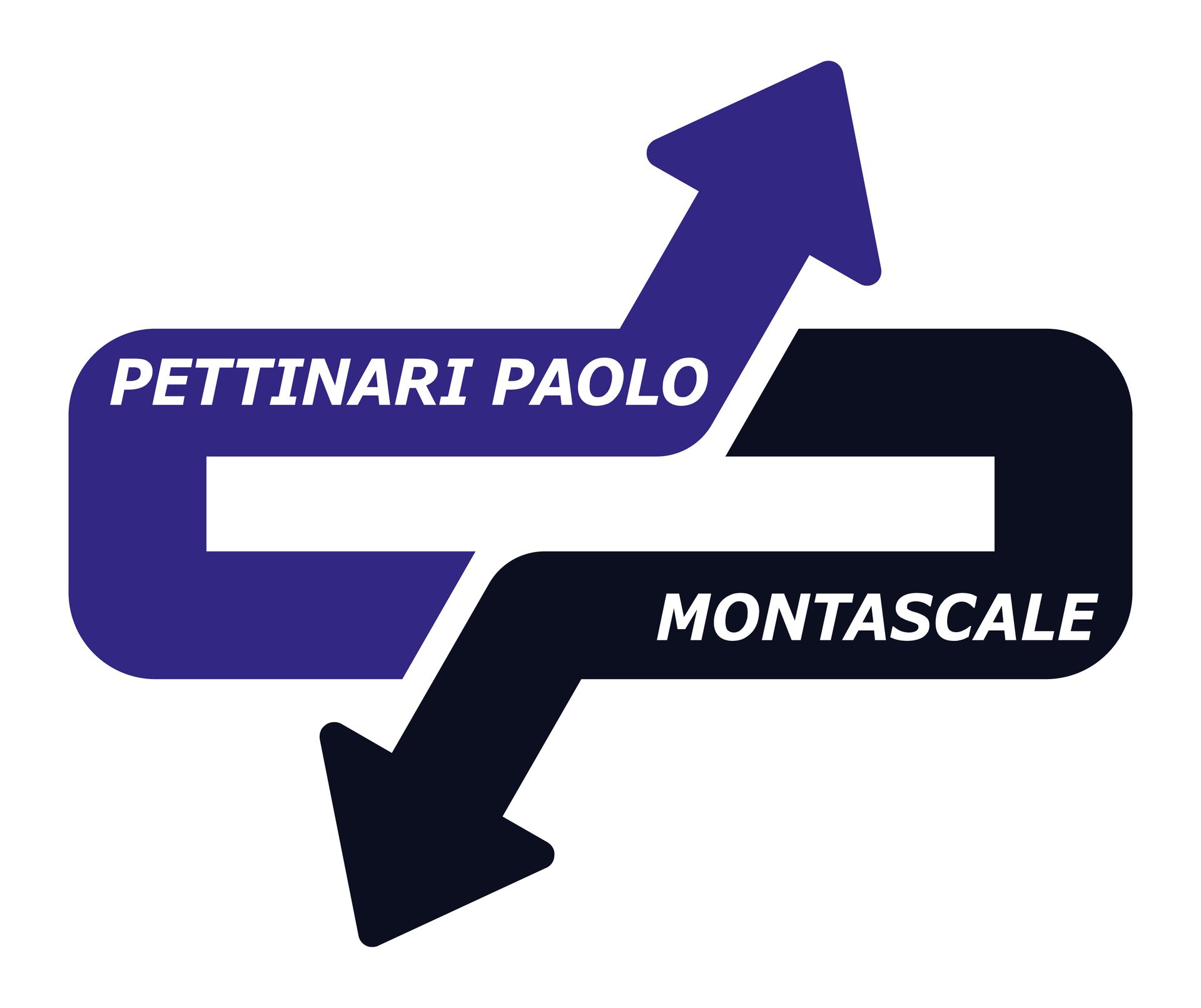 PETTINARI PAOLO SERVOSCALE-LOGO PETTINARI PAOLO SERVOSCALE-LOGO