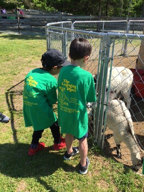 Two young boys wearing green shirts that say ' the world ' on the back