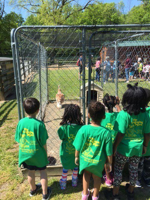 A group of children in green shirts are looking at a dog in a cage