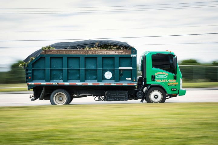 Green dump truck with a full bed of greenery on a road.