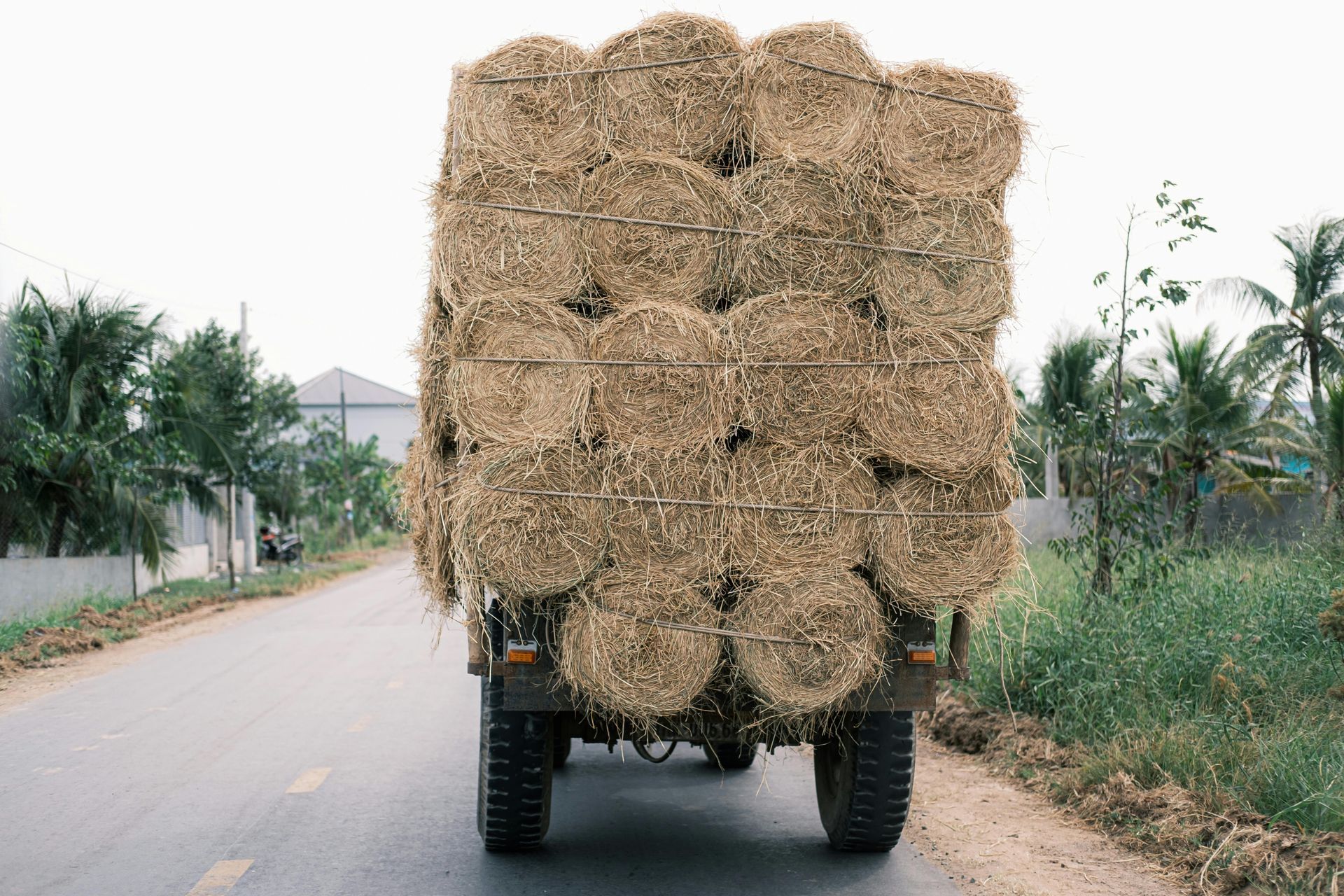 Truck loaded with round hay bales driving on a road with trees and grass.